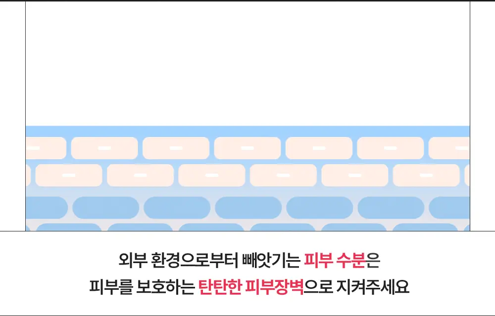 [무향]더마비 세라엠디 리페어 로션 400ml 상세페이지 6